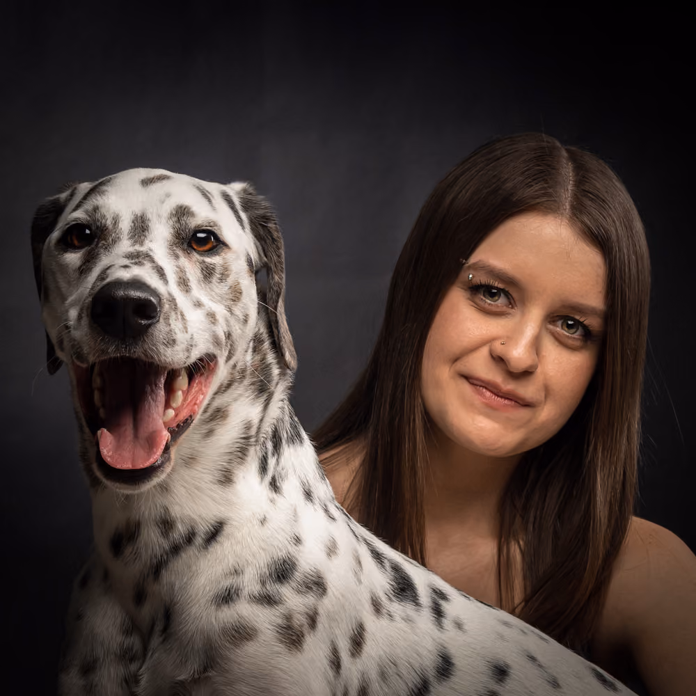 Set ortamında poz veren köpek – yetenek ve medya